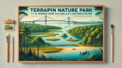 terrapin nature park