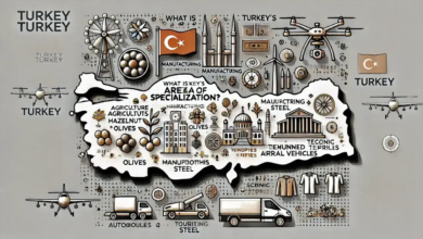 what is turkey's area of specialization