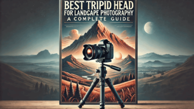 what tripod head is best for landscape photography